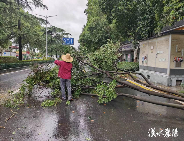 1693294846313365.png 4.png